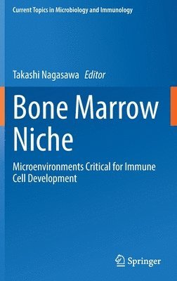 bokomslag Bone Marrow Niche