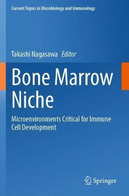 bokomslag Bone Marrow Niche