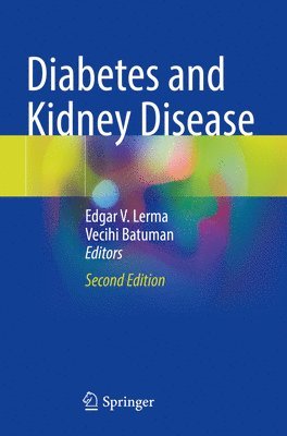 bokomslag Diabetes and Kidney Disease