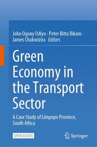 bokomslag Green Economy in the Transport Sector