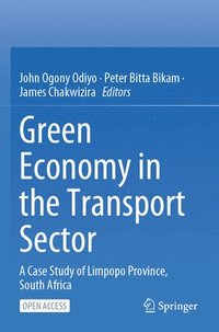 bokomslag Green Economy in the Transport Sector