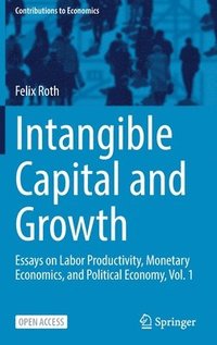 bokomslag Intangible Capital and Growth