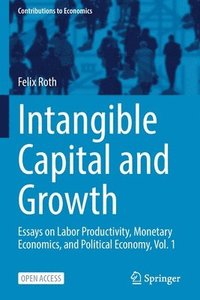 bokomslag Intangible Capital and Growth