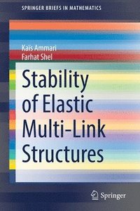 bokomslag Stability of Elastic Multi-Link Structures