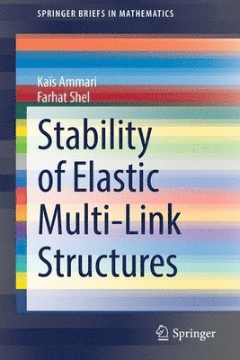 Stability of Elastic Multi-Link Structures 1