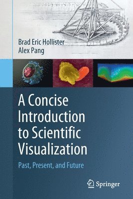 Brad Eric Hollister, Alex Pang - Concise Introduction to Scientific Visualization, Häftad
