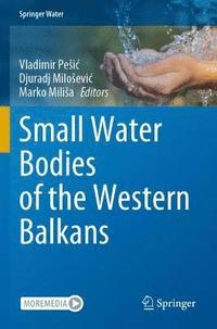 bokomslag Small Water Bodies of the Western Balkans