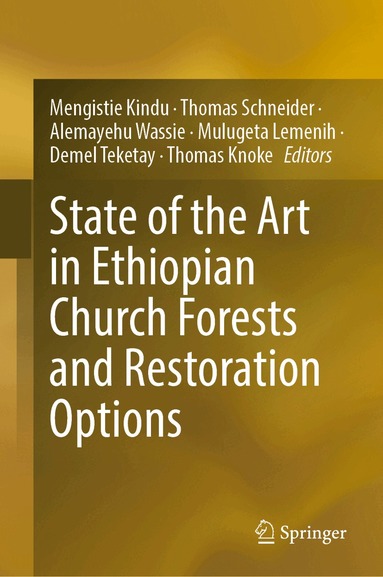 Mengistie Kindu, Thomas Schneider, Alemayehu Wassie, Mulugeta Lemenih, Demel Teketay, Thomas Knoke - State of the Art in Ethiopian Church Forests and Restoration Options, Inbunden