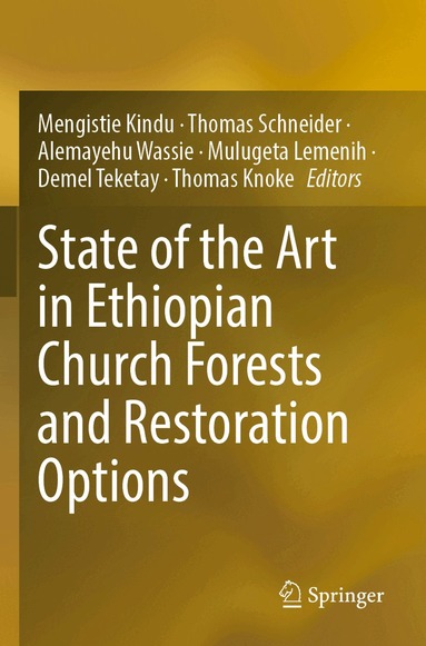 Mengistie Kindu, Thomas Schneider, Alemayehu Wassie, Mulugeta Lemenih, Demel Teketay, Thomas Knoke - State of the Art in Ethiopian Church Forests and Restoration Options, Häftad