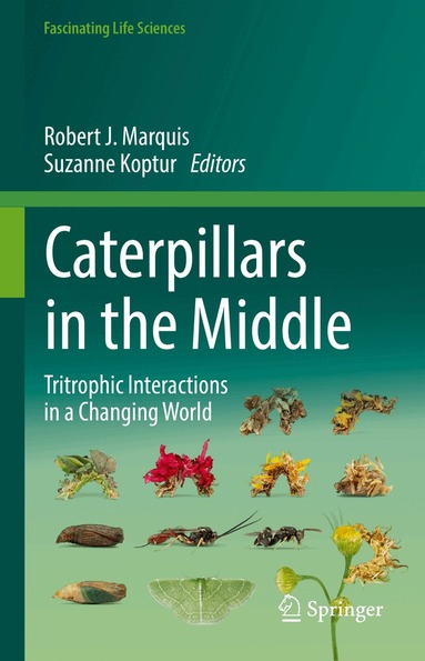 Robert J. Marquis, Suzanne Koptur - Caterpillars in the Middle, Inbunden