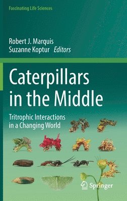 Caterpillars in the Middle