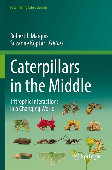 Robert J. Marquis, Suzanne Koptur - Caterpillars in the Middle, Häftad