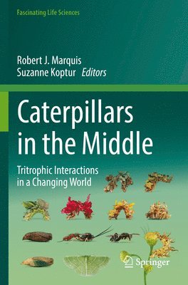 Robert J. Marquis, Suzanne Koptur - Caterpillars in the Middle, Häftad