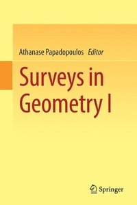 bokomslag Surveys in Geometry I