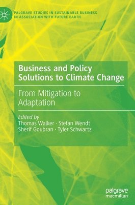 bokomslag Business and Policy Solutions to Climate Change
