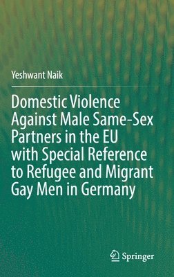 bokomslag Domestic Violence Against Male Same-Sex Partners in the EU with Special Reference to Refugee and Migrant Gay Men in Germany