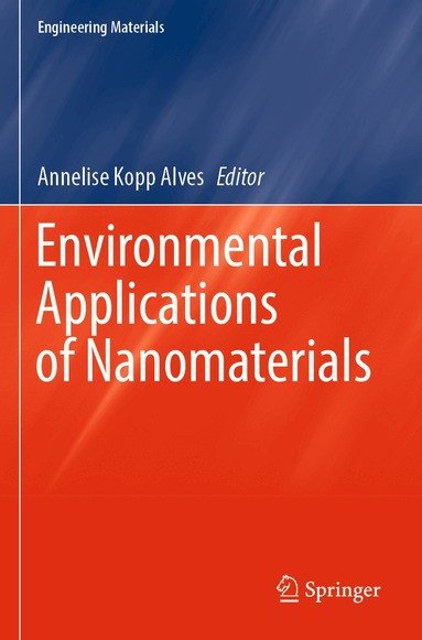 Annelise Kopp Alves - Environmental Applications of Nanomaterials, Häftad