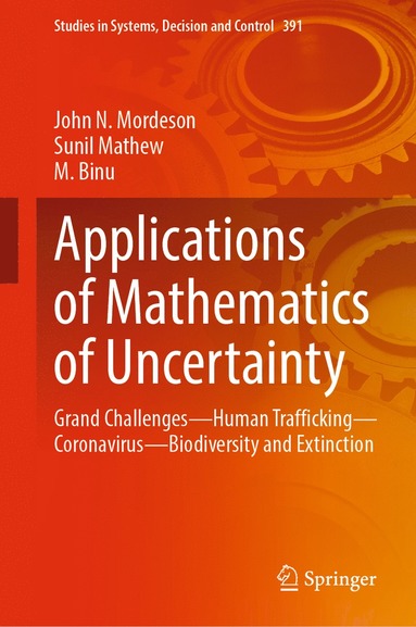 bokomslag Applications of Mathematics of Uncertainty