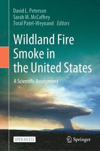 bokomslag Wildland Fire Smoke in the United States