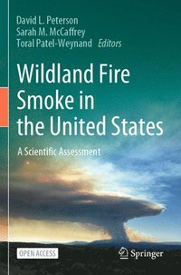 bokomslag Wildland Fire Smoke in the United States