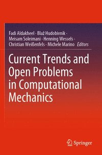bokomslag Current Trends and Open Problems in Computational Mechanics