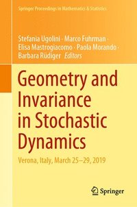 bokomslag Geometry and Invariance in Stochastic Dynamics