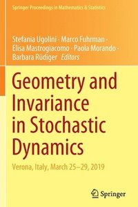 bokomslag Geometry and Invariance in Stochastic Dynamics