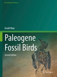 bokomslag Paleogene Fossil Birds