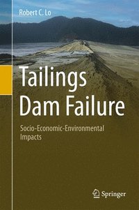 bokomslag Tailings Dam Failure