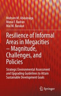 bokomslag Resilience of Informal Areas in Megacities  Magnitude, Challenges, and Policies