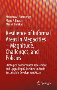 bokomslag Resilience of Informal Areas in Megacities - Magnitude, Challenges, and Policies