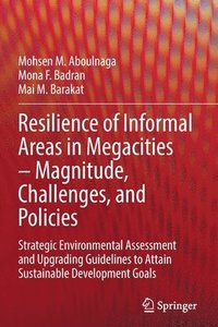 bokomslag Resilience of Informal Areas in Megacities  Magnitude, Challenges, and Policies