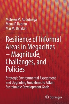 bokomslag Resilience of Informal Areas in Megacities  Magnitude, Challenges, and Policies