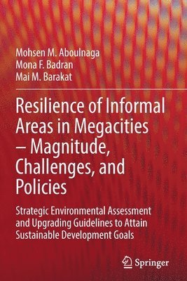bokomslag Resilience of Informal Areas in Megacities - Magnitude, Challenges, and Policies