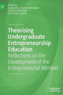 bokomslag Theorising Undergraduate Entrepreneurship Education