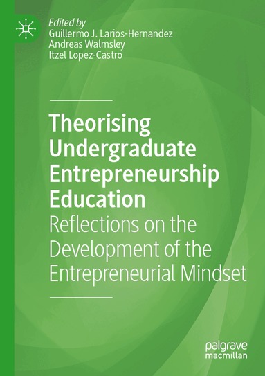 Guillermo J. Larios-Hernandez, Andreas Walmsley, Itzel Lopez-Castro - Theorising Undergraduate Entrepreneurship Education, Häftad
