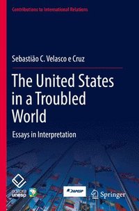 bokomslag The United States in a Troubled World