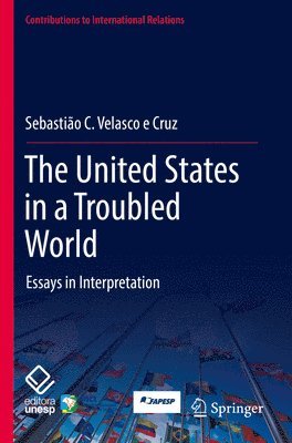 bokomslag The United States in a Troubled World