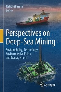 bokomslag Perspectives on Deep-Sea Mining