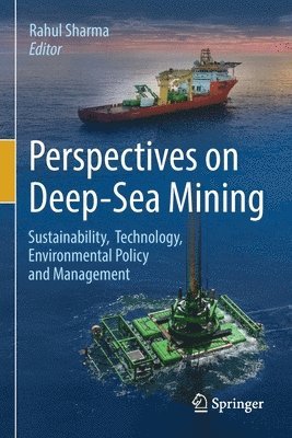 bokomslag Perspectives on Deep-Sea Mining