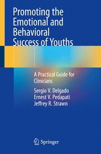 bokomslag Promoting the Emotional and Behavioral Success of Youths