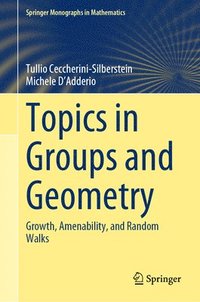 bokomslag Topics in Groups and Geometry