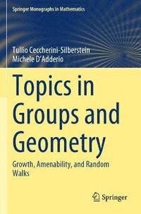 bokomslag Topics in Groups and Geometry