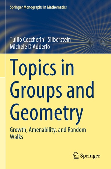 Tullio Ceccherini-Silberstein, Michele D'Adderio - Topics in Groups and Geometry, Häftad