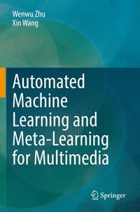 bokomslag Automated Machine Learning and Meta-Learning for Multimedia