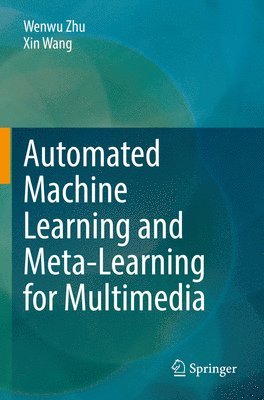 bokomslag Automated Machine Learning and Meta-Learning for Multimedia