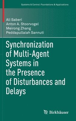 Synchronization of Multi-Agent Systems in the Presence of Disturbances and Delays 1