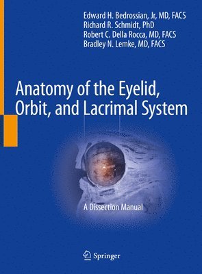 bokomslag Anatomy of the Eyelid, Orbit, and Lacrimal System