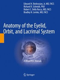 bokomslag Anatomy of the Eyelid, Orbit, and Lacrimal System