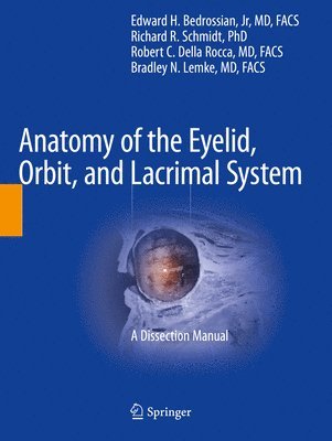 Anatomy of the Eyelid, Orbit, and Lacrimal System 1